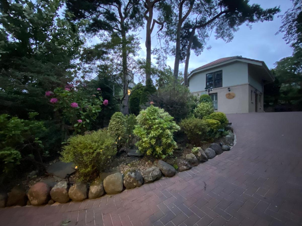 Ailim House Serviced Cottage Escape, Around The Corner From The Old Course Сент-Андрус Экстерьер фото